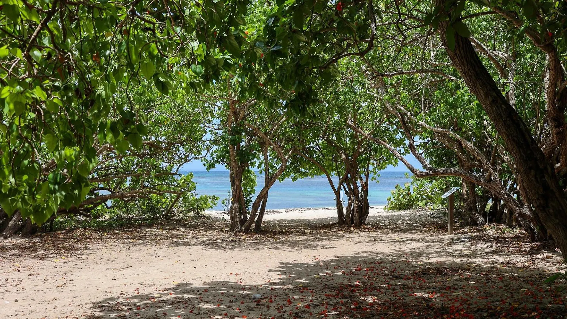 Cote Plage Le Balaou Saint Francois 0*, Saint-Francois (Grande-Terre) Guadeloupe