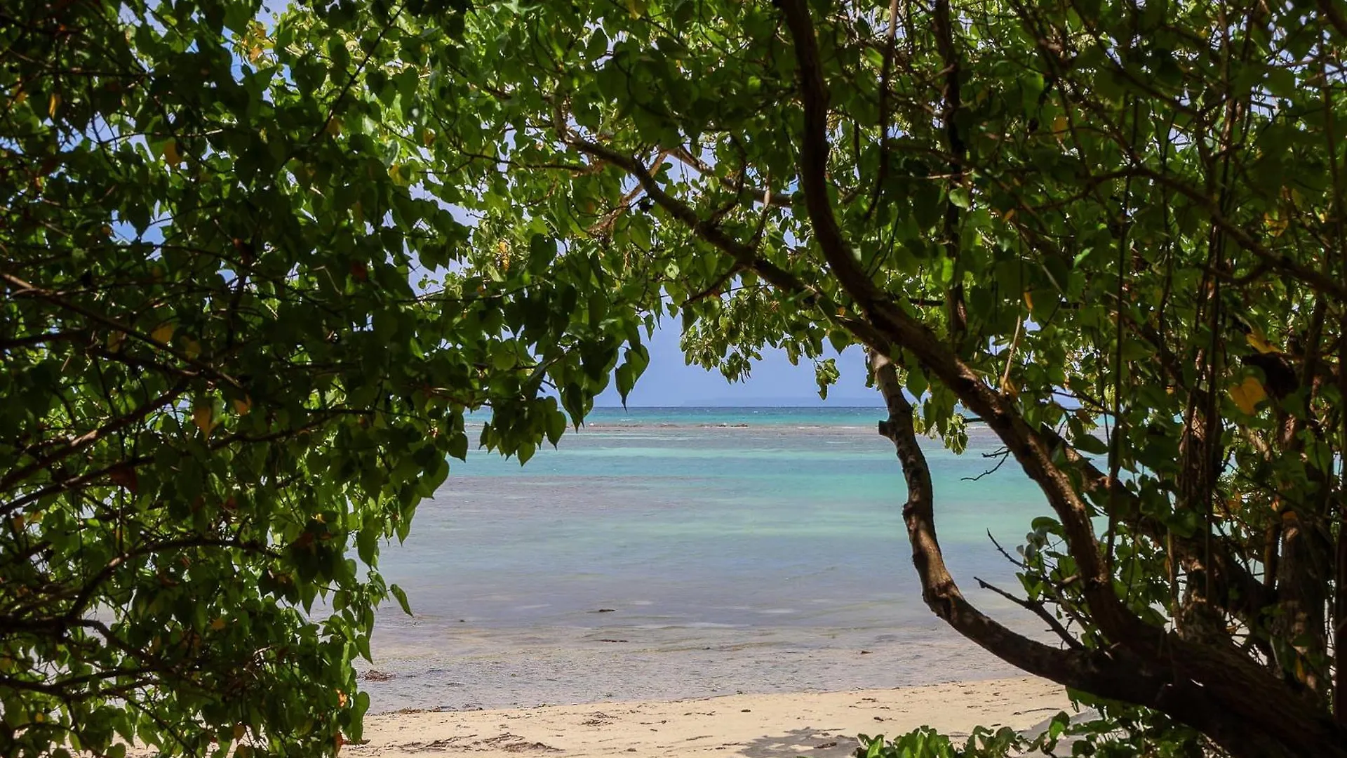 Cote Plage Le Balaou Saint Francois Guadeloupe