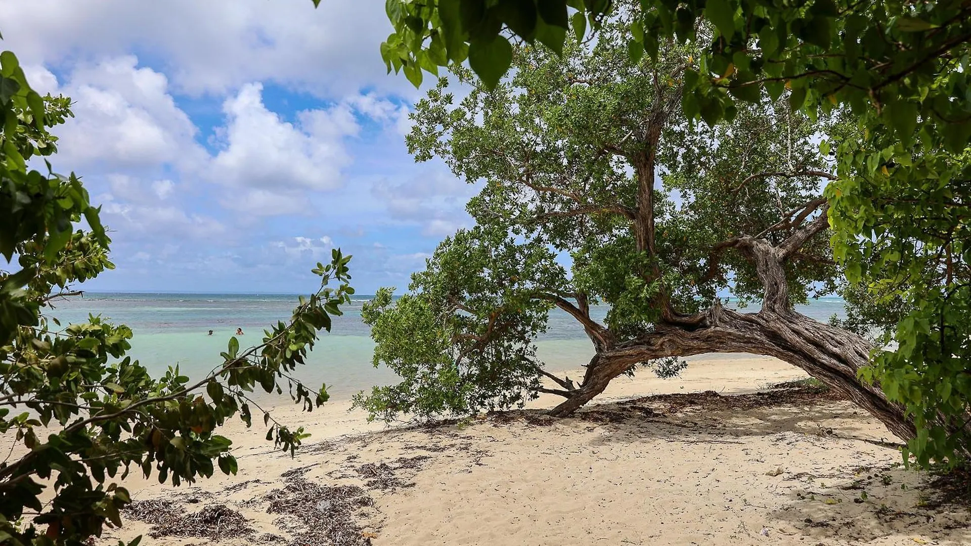 Aparthotel Cote Plage Le Balaou Saint Francois