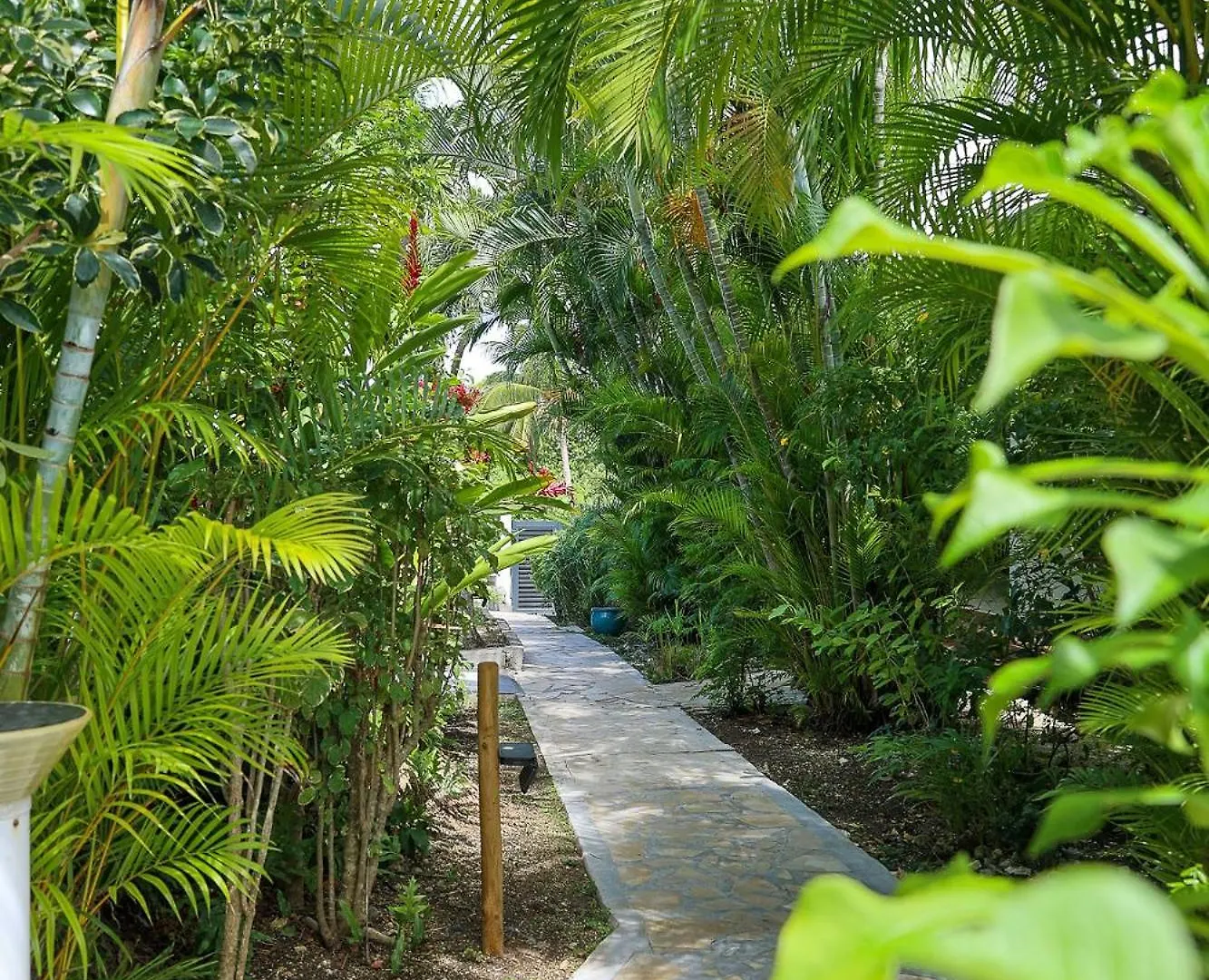 Cote Plage Le Balaou Saint Francois Aparthotel Saint-Francois (Grande-Terre)
