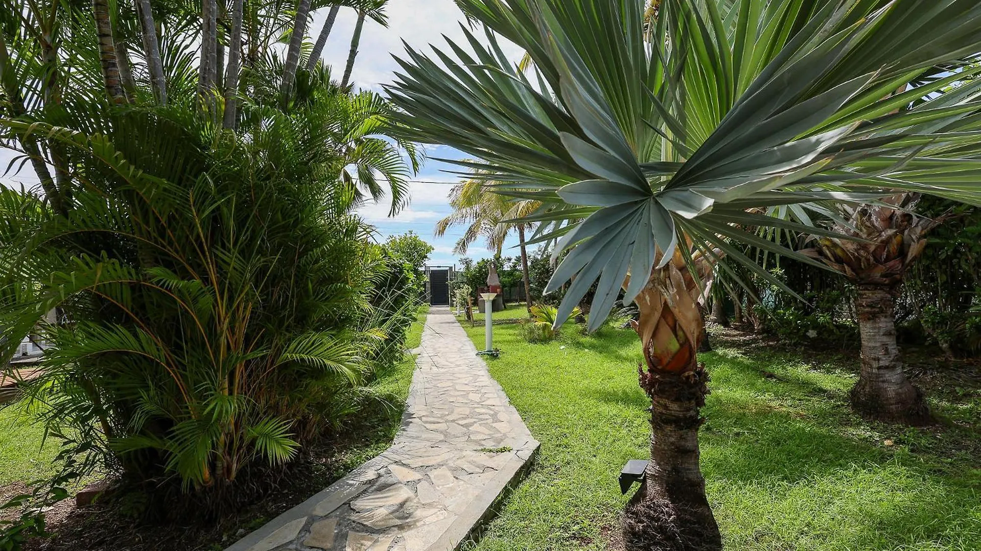 Aparthotel Cote Plage Le Balaou Saint Francois Guadeloupe